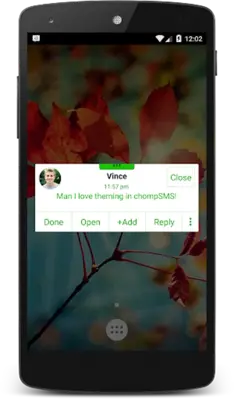 Pure Green Theme (chomp) android App screenshot 0